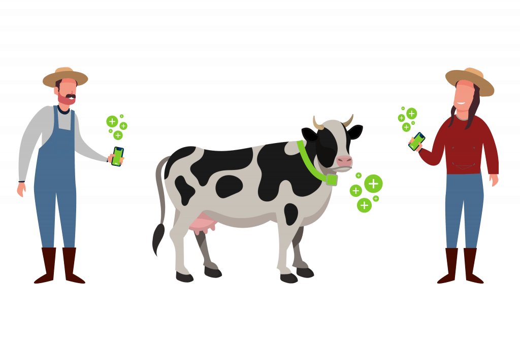 agriculteurs numérique colliers de vaches production de lait agritech