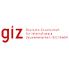 GIZ-logo1.png